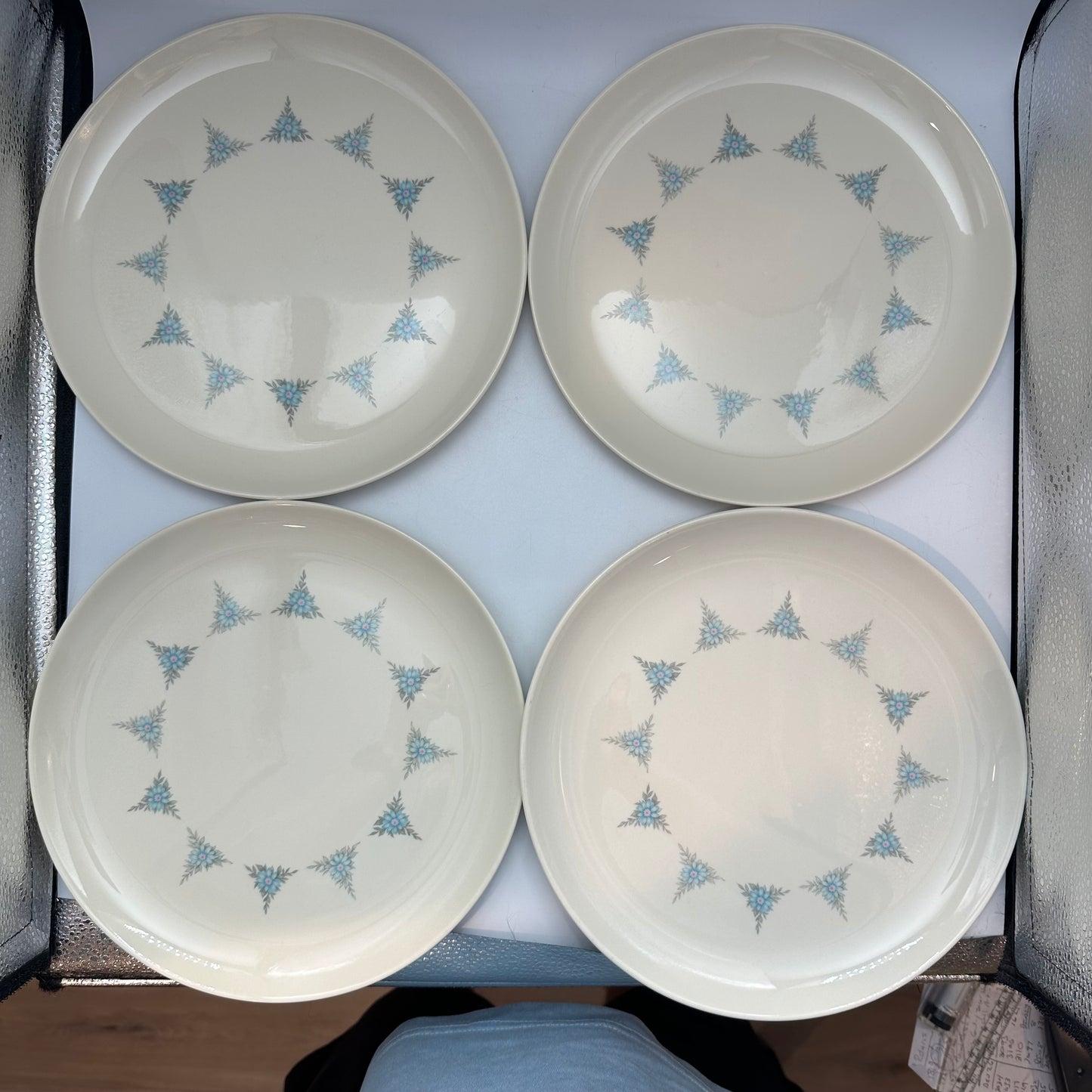 Taylor Smith & Taylor Co 10" Dinner Plates, Rhapsody Pattern, Set of 7