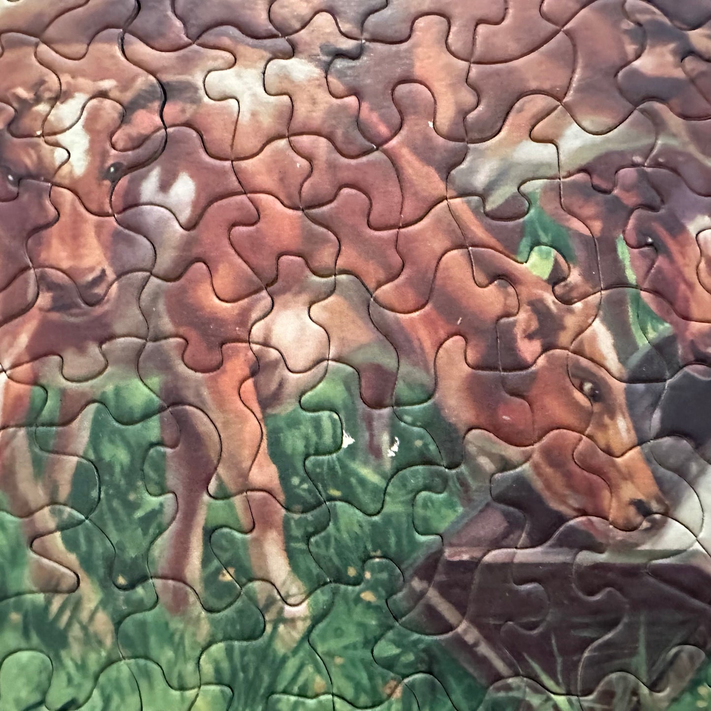 Tuco Interlocking Extra Thik Picture Puzzle, approximately 300 pieces