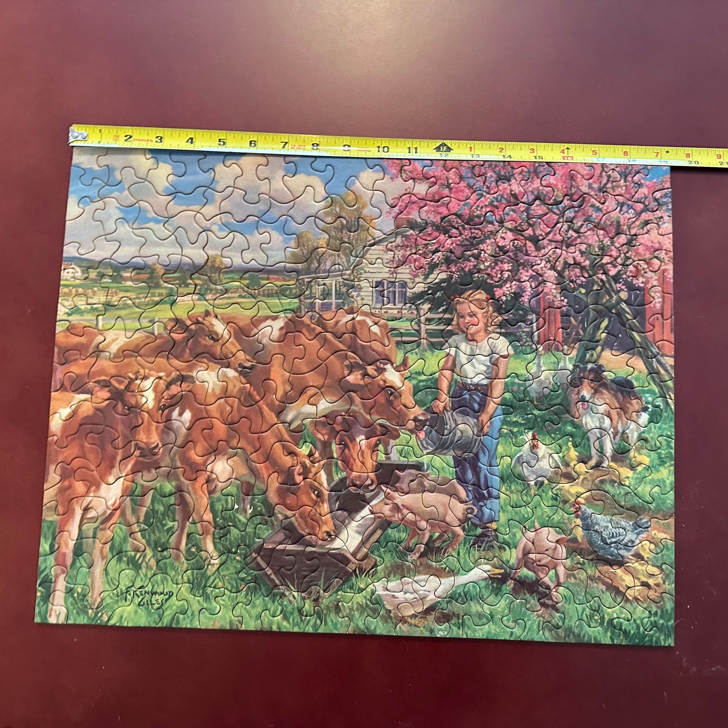Tuco Interlocking Extra Thik Picture Puzzle, approximately 300 pieces