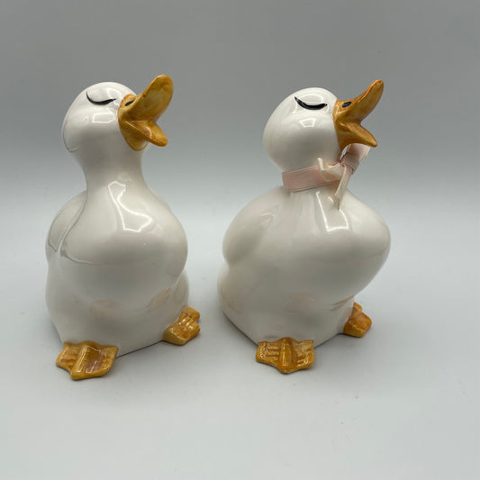 Adorable Baby Ducks, Set of 2 - Nostalgia 2 Now
