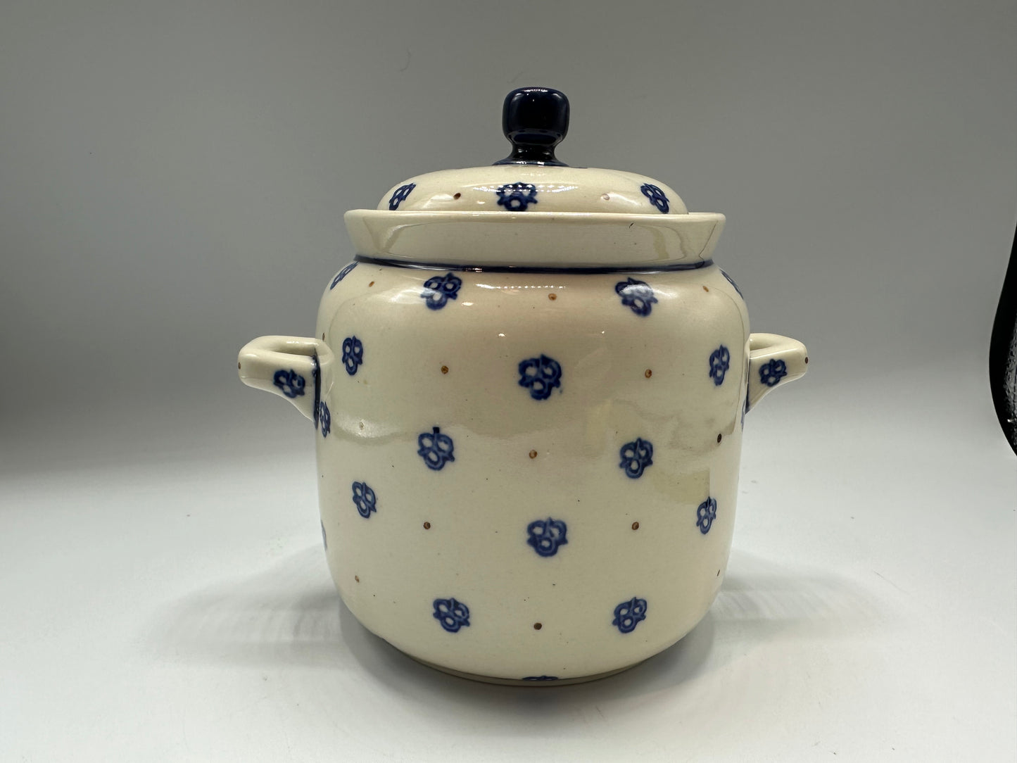 Boleslawiec Polish Pottery Cookie Jar