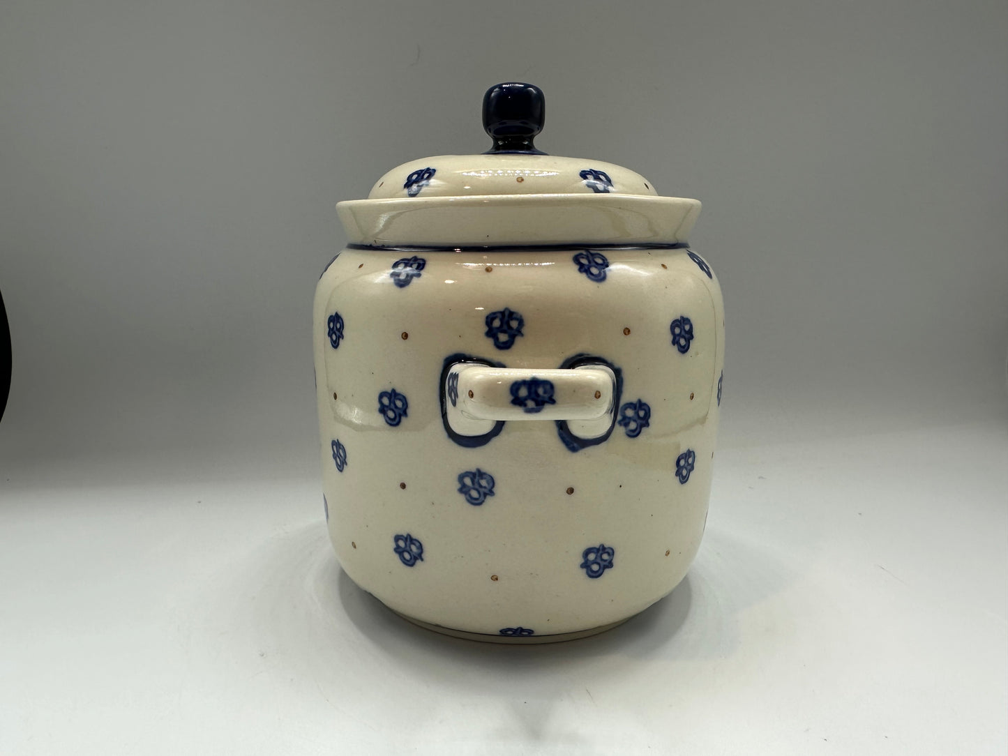 Boleslawiec Polish Pottery Cookie Jar
