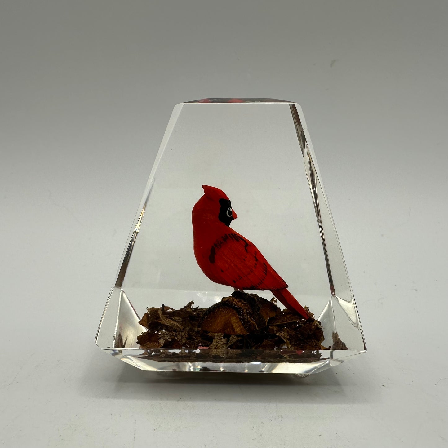 Unique Canada Lucite Encased Wood Sculpted Red Cardinal, Hand Painted