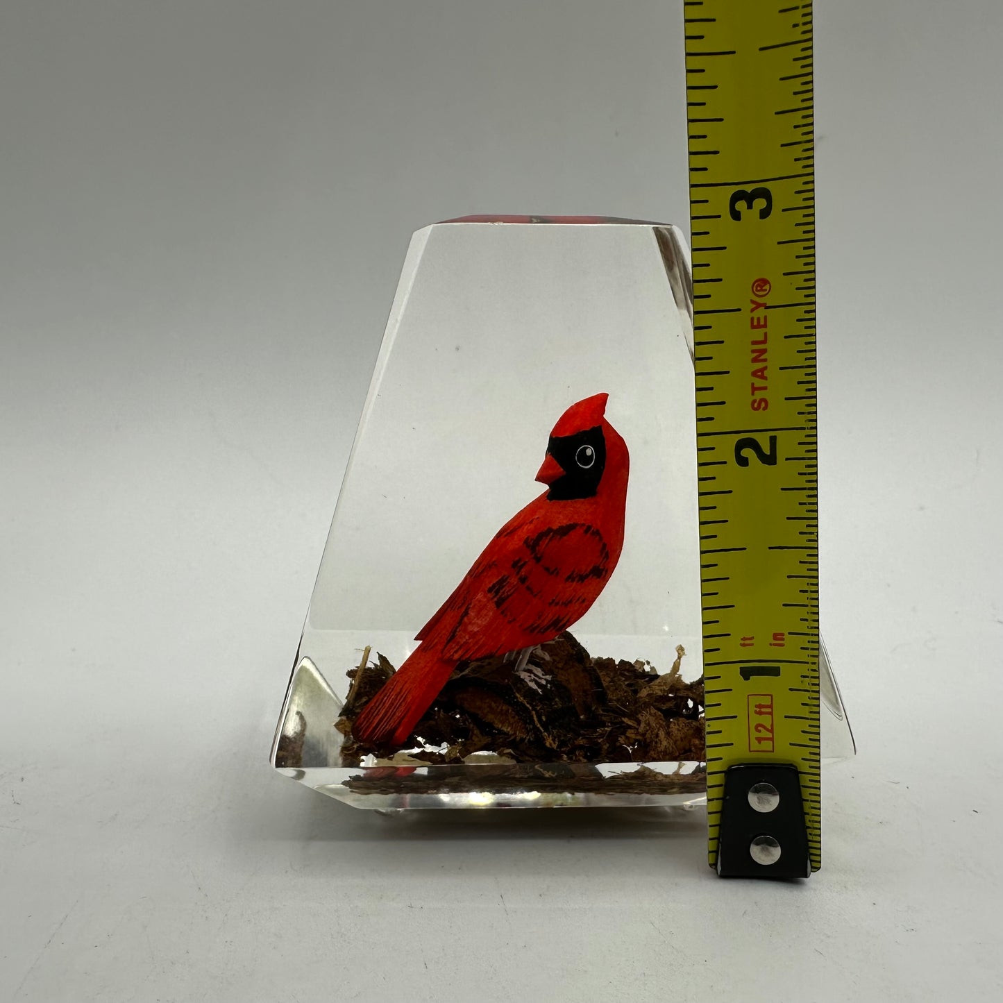 Unique Canada Lucite Encased Wood Sculpted Red Cardinal, Hand Painted