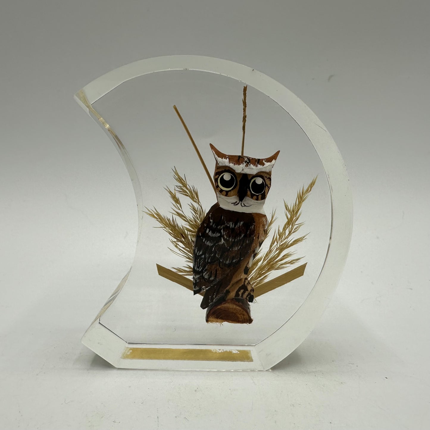 Unique Canada Lucite Encased Wood Sculpted Great Horned Owl, Hand Painted