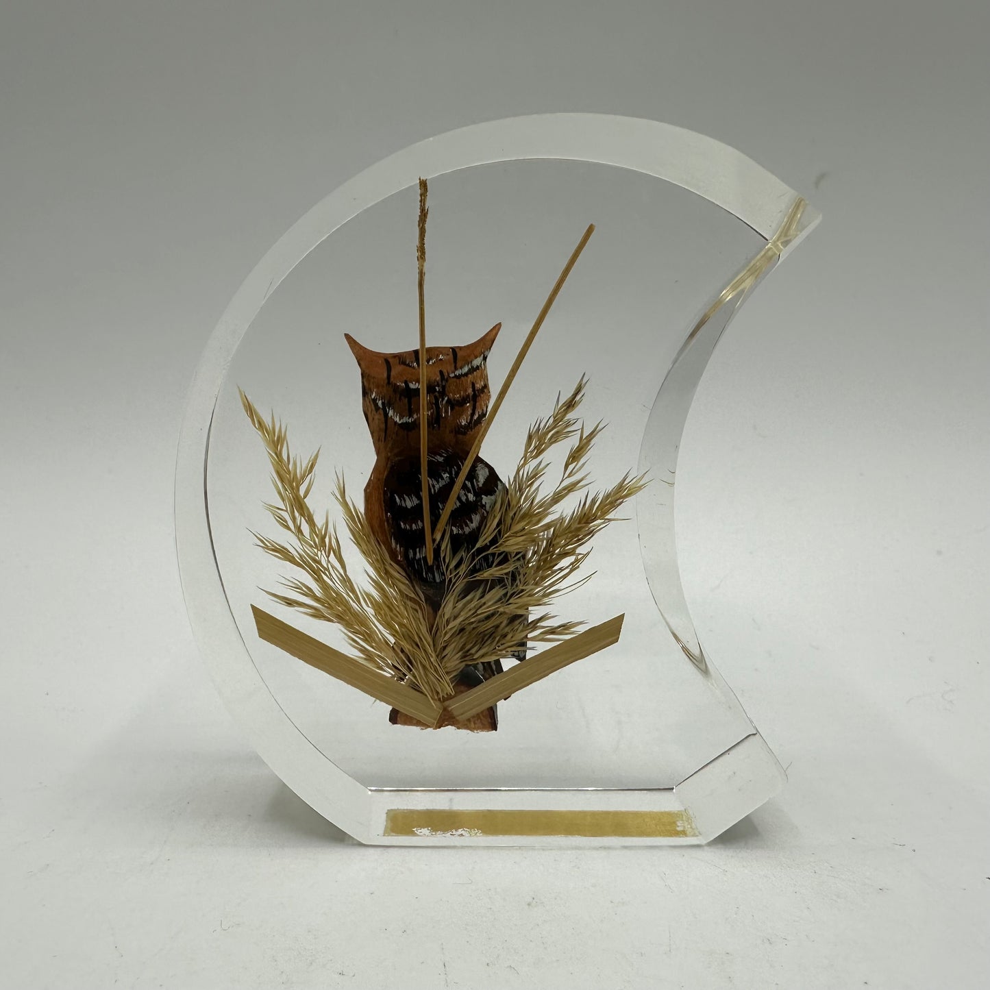 Unique Canada Lucite Encased Wood Sculpted Great Horned Owl, Hand Painted