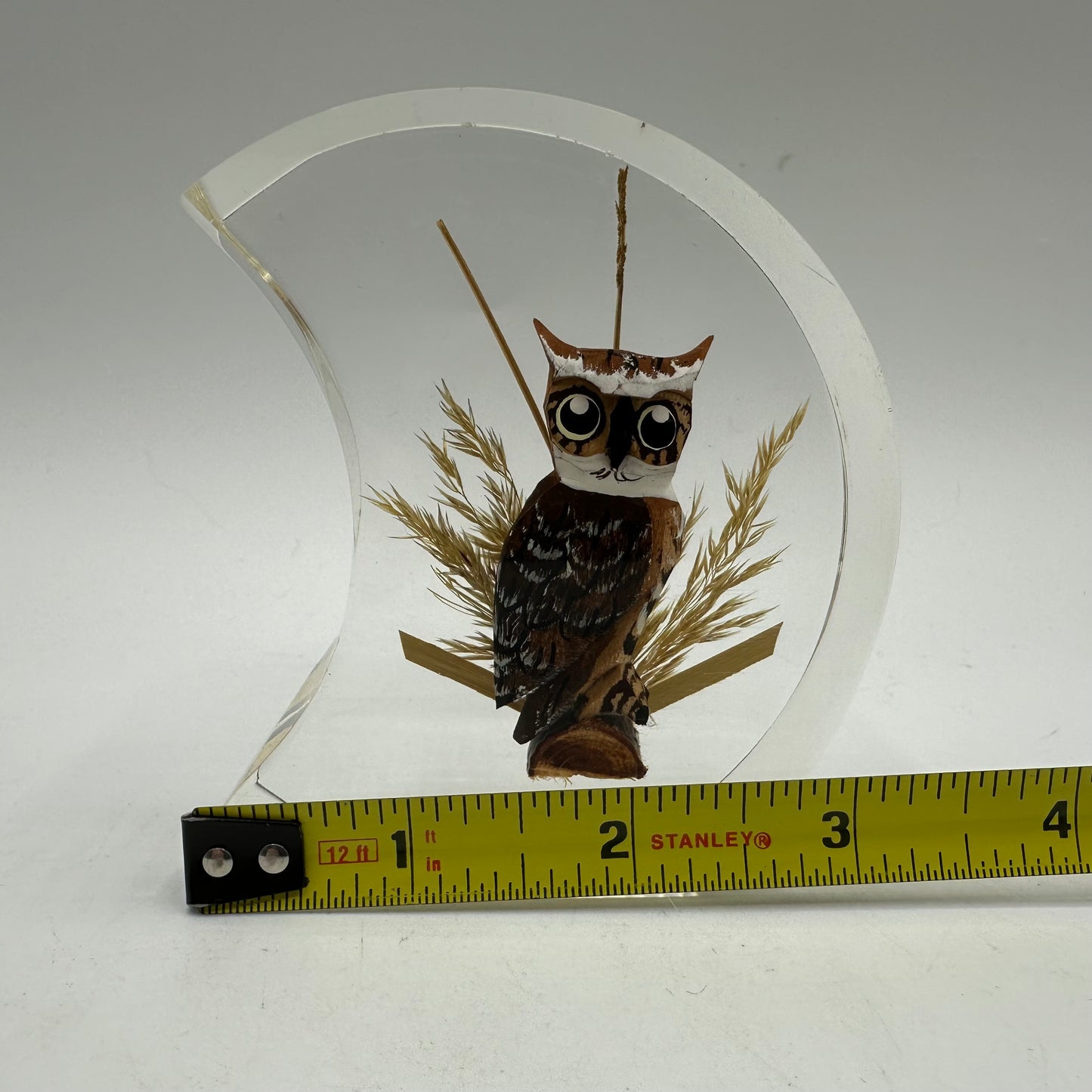 Unique Canada Lucite Encased Wood Sculpted Great Horned Owl, Hand Painted