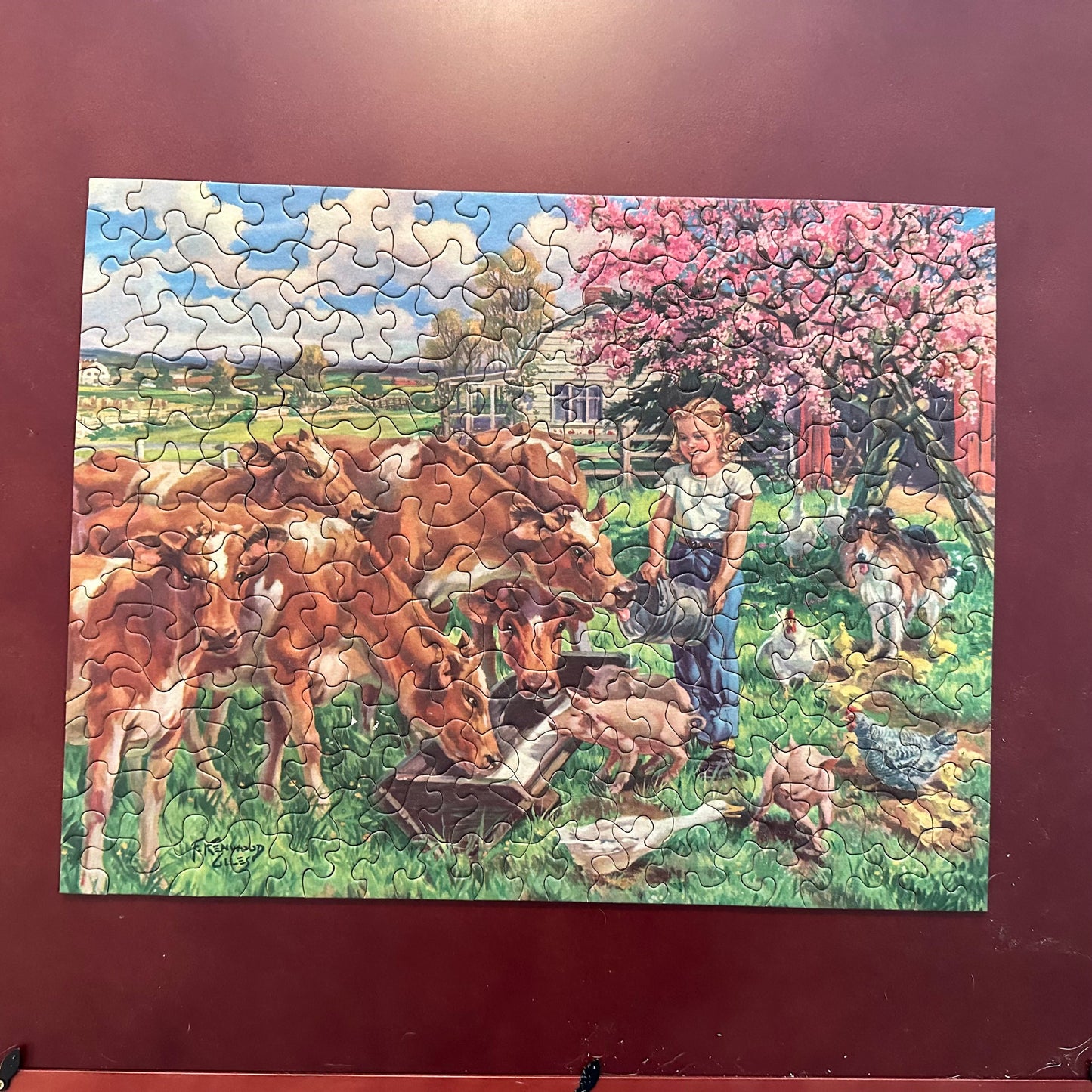 Tuco Interlocking Extra Thik Picture Puzzle, approximately 300 pieces