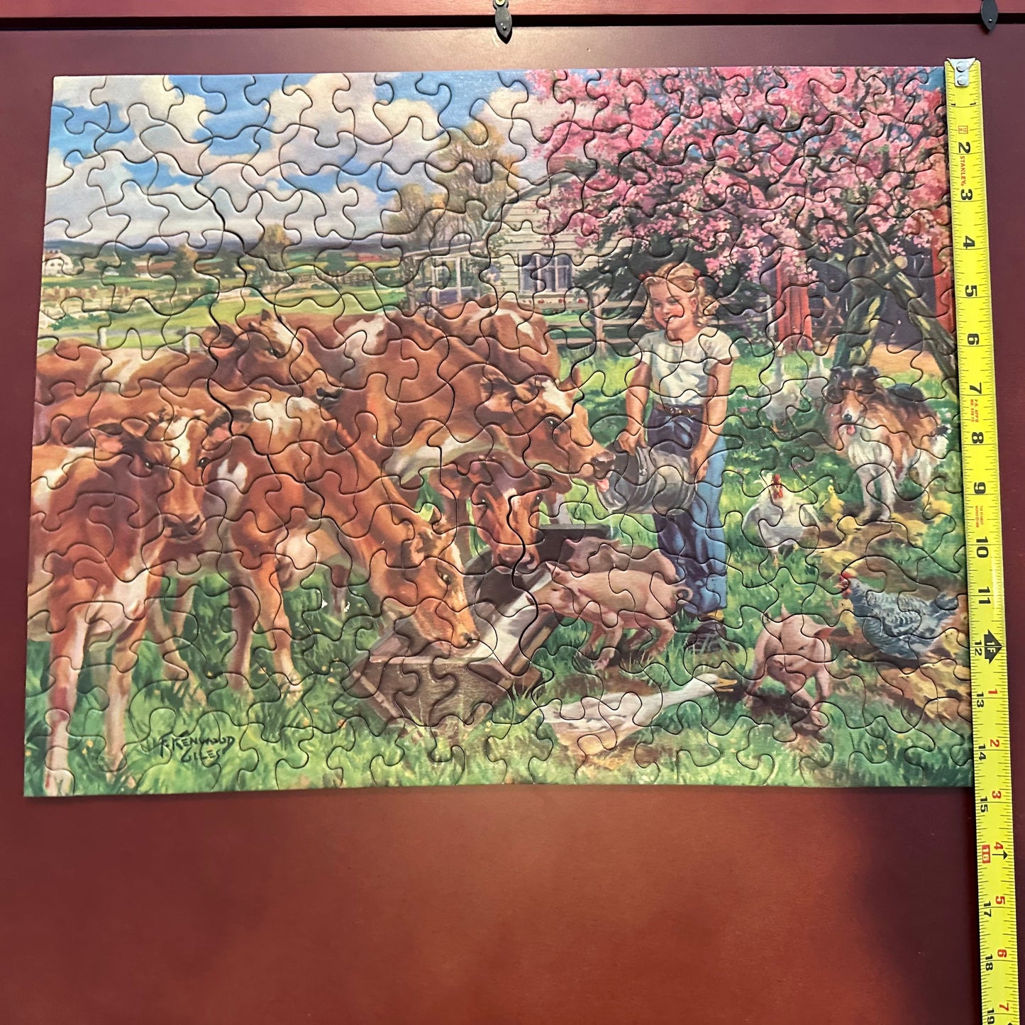 Tuco Interlocking Extra Thik Picture Puzzle, approximately 300 pieces