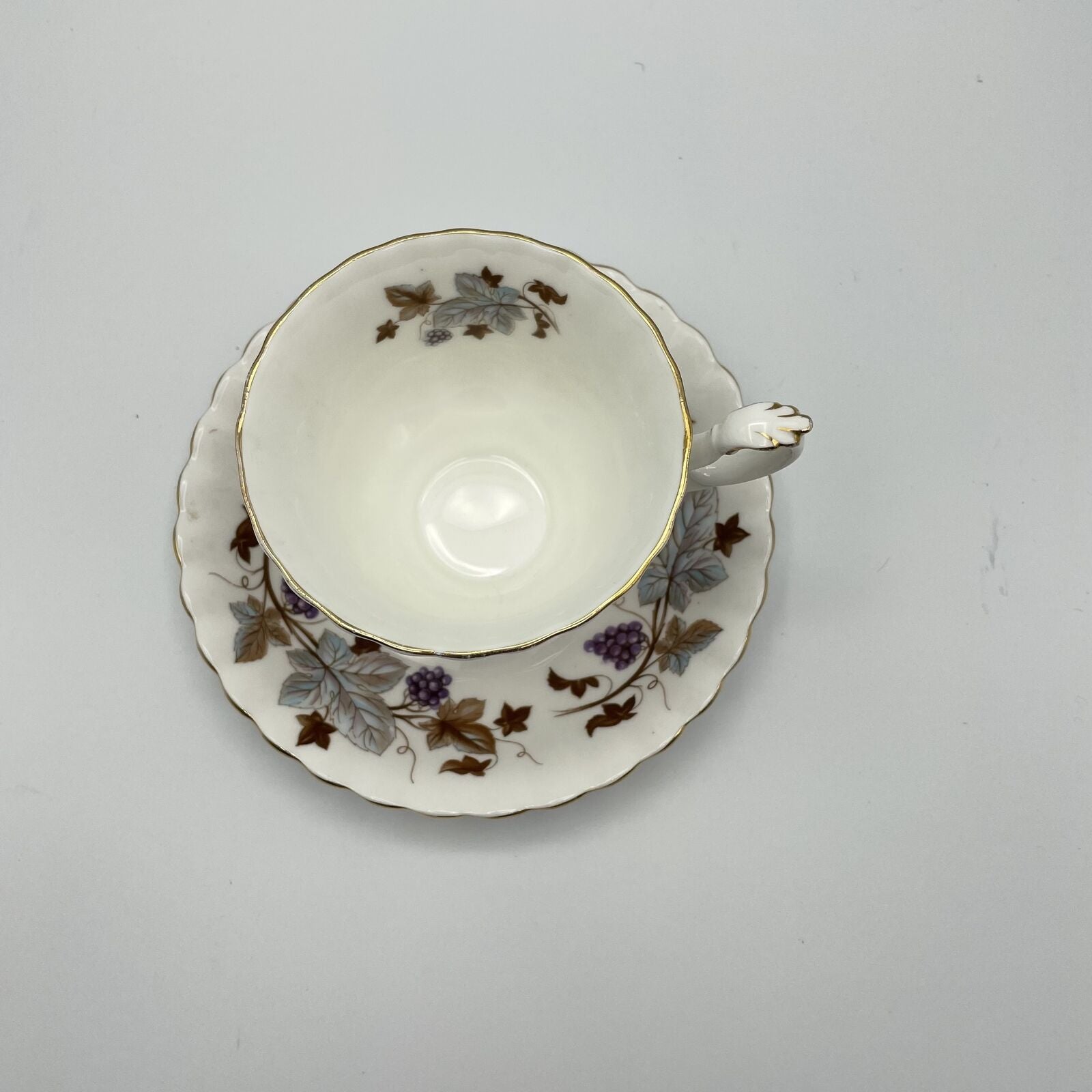 Vintage Royal Albert Tea Cup and Saucer with Grapes & Blue/Brown Leaves - Nostalgia 2 Now