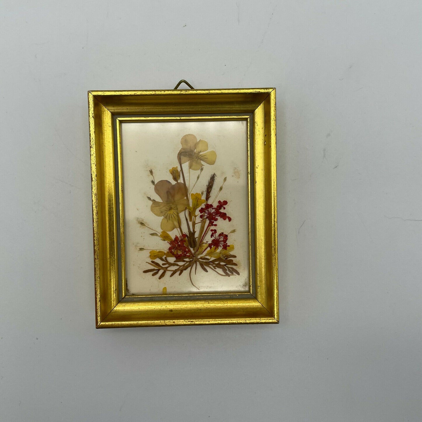 2 Vintage Framed Dried Pressed Flowers Wall Art Miniatures Germany
