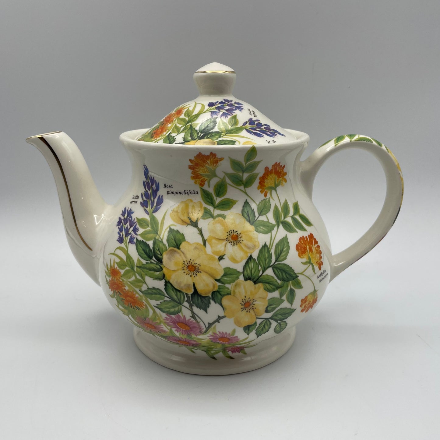 Sadler Teapot Floral Design & Flower Names