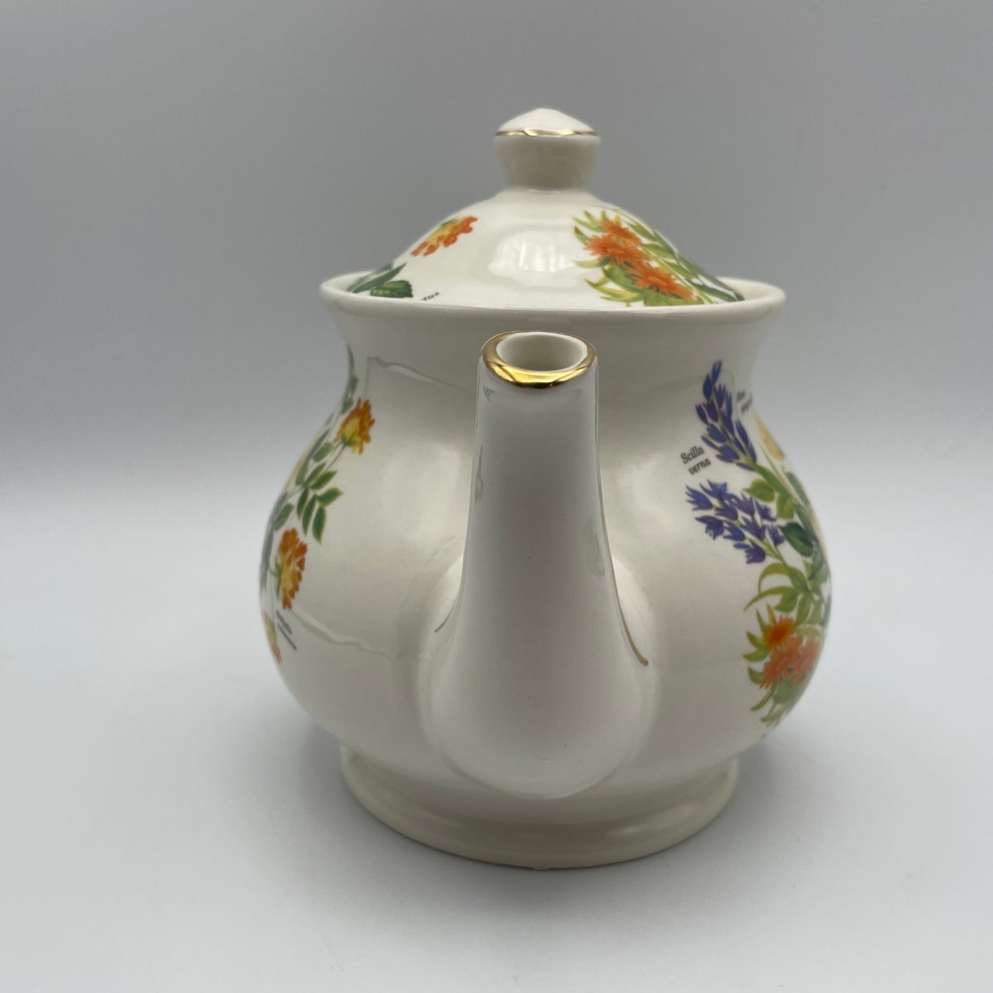 Sadler Teapot Floral Design & Flower Names