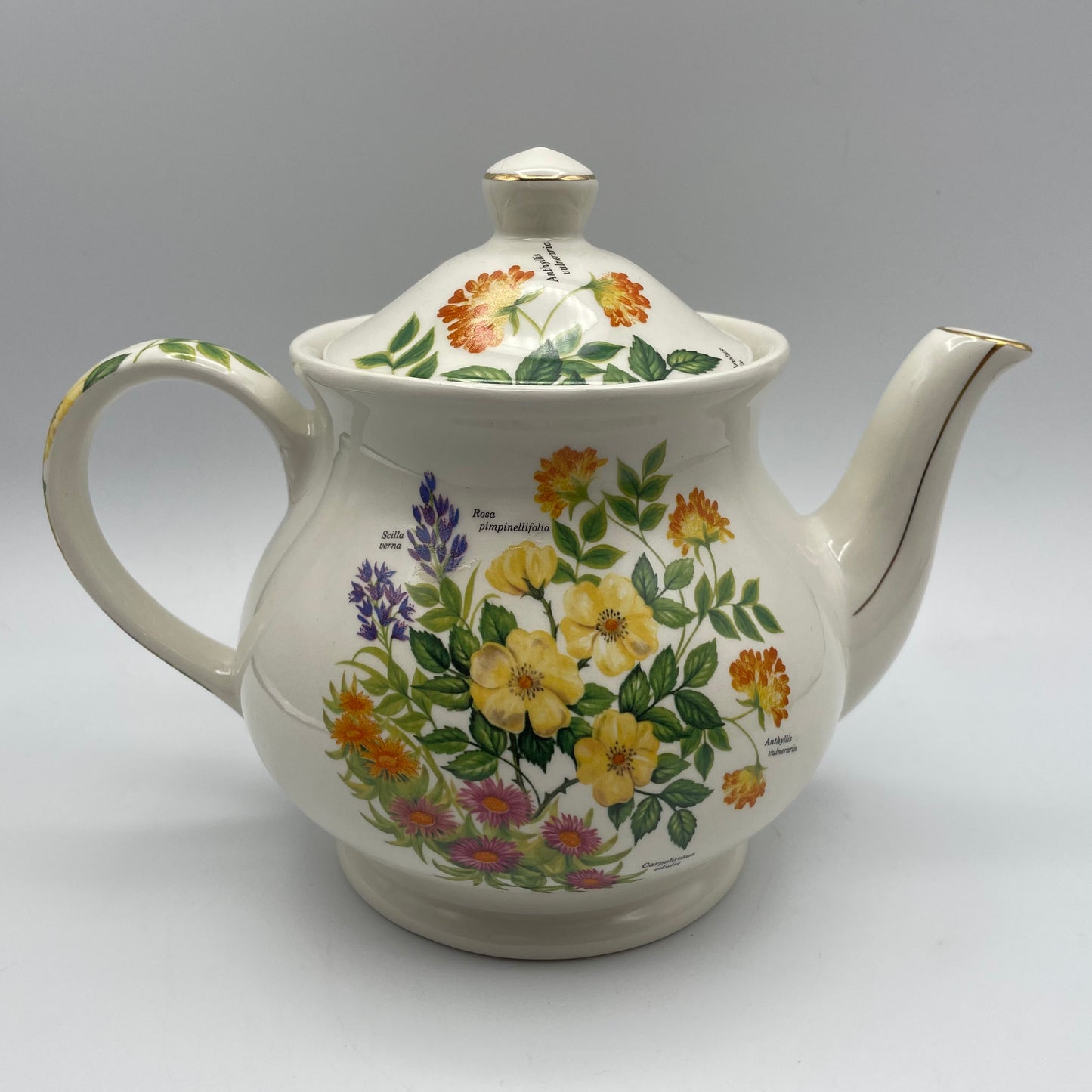 Sadler Teapot Floral Design & Flower Names