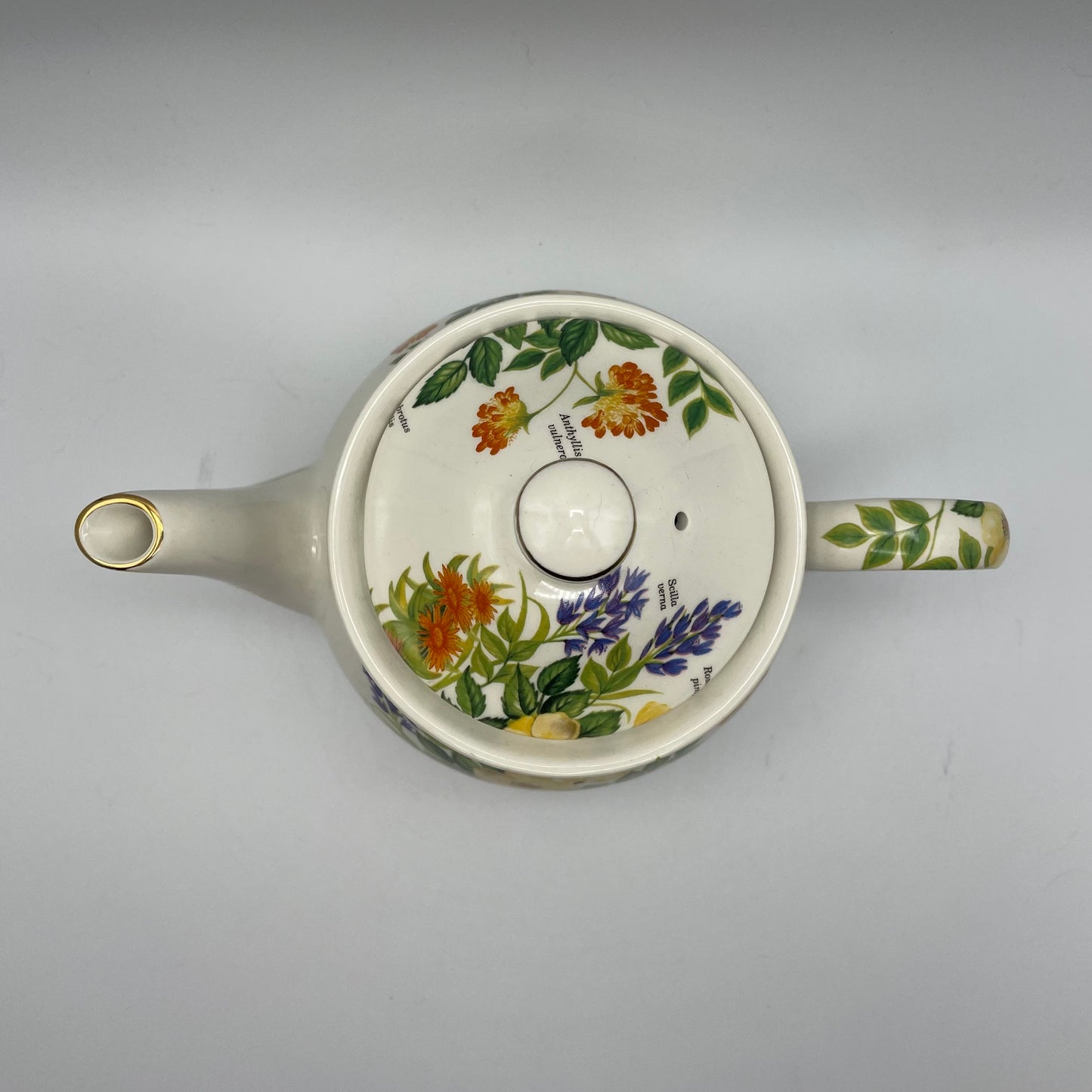 Sadler Teapot Floral Design & Flower Names