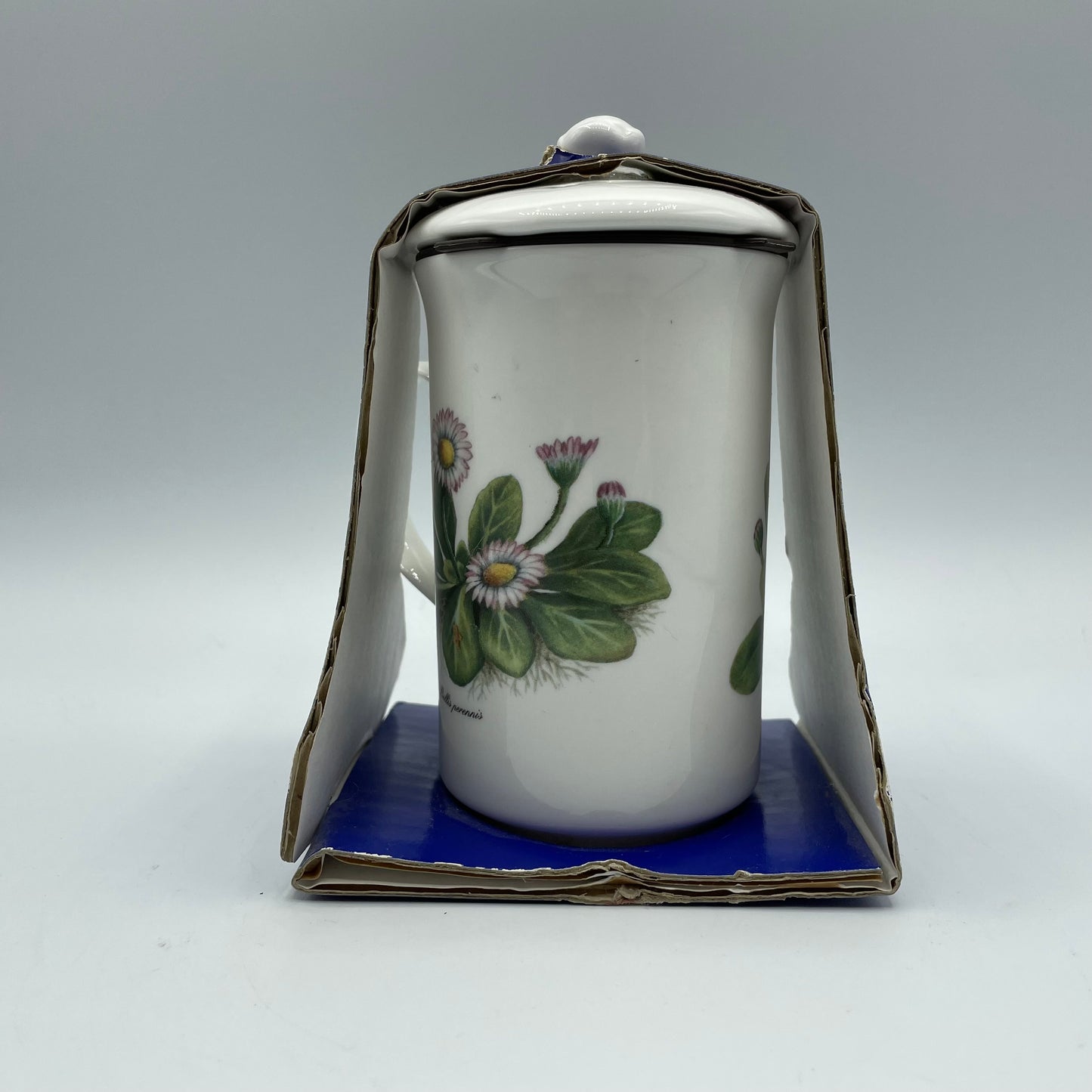 Chatsford Strainer Teamug Bone China-Bellis Perennis